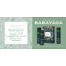 ESTEL Babayaga Набор для восстановления волос (Шампунь + Маска + Спрей-термозащита)